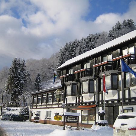 Landhotel Weinhaus Treis Weinähr Exteriér fotografie
