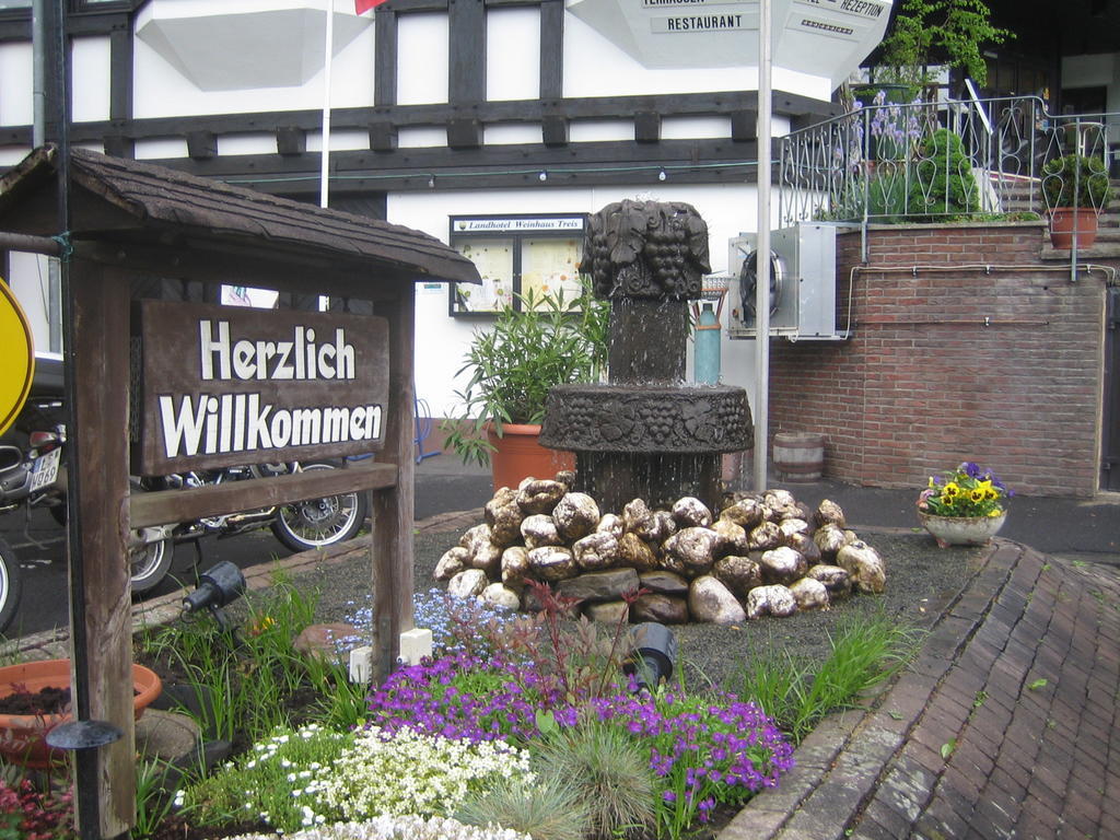 Landhotel Weinhaus Treis Weinähr Exteriér fotografie