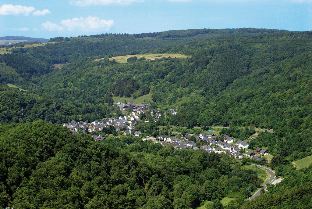 Landhotel Weinhaus Treis Weinähr Exteriér fotografie