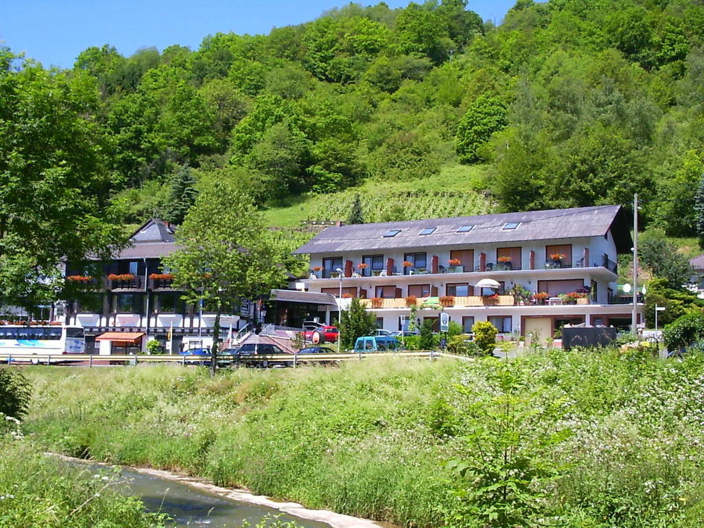 Landhotel Weinhaus Treis Weinähr Exteriér fotografie